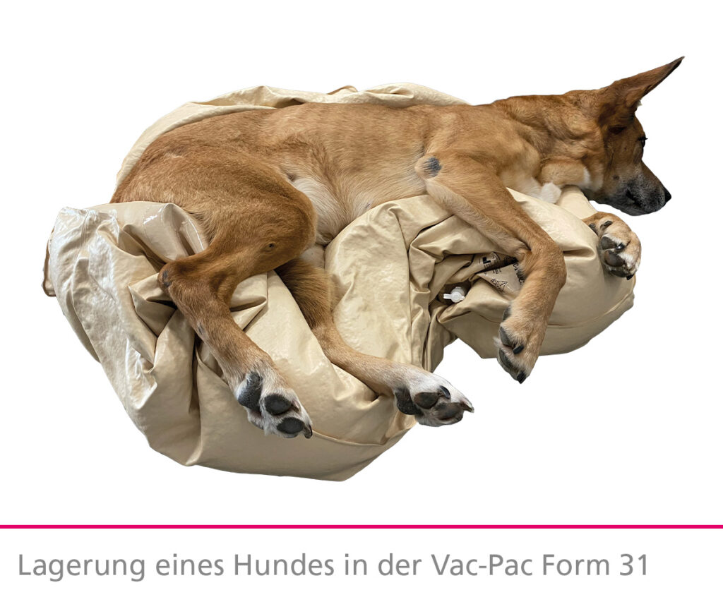 Lagerung-eines-hundes-in-vac-pac-form-31